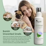 Pet Shampoo Conditioner Manufacturer - OEM/ODM OEM Natural Organic Deep Cleaning