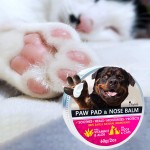 Pet Mouthwash Manufacturer - OEM/ODM Dogs Care Dental Use Disinfect Cleaning