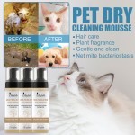 Pet Paw Balm Manufacturer - OEM/ODM Private Label Natural Protection Soother Custom