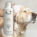 Pet Paw Balm Manufacturer - OEM/ODM Private Label OEM Organic Natural Wax Heals