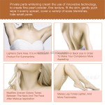 Whitening Vitamin C Serum Manufacturer - OEM/ODM Wholesale Private Label Pure