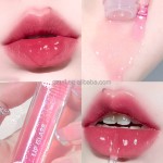 Waterproof Lip Gloss Manufacturer - OEM/ODM OEM Wholesale Private Label Natural Vegan