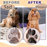 Pet Toilet Training Spray Manufacturer - OEM/ODM Wholesale Attract Dog Props Cat Potty