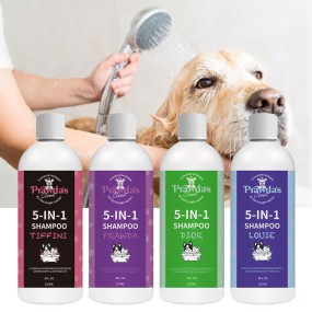 Dry Pet Shampoo Manufacturer - OEM/ODM Private Label Natural Ingredient No Rinse Foam