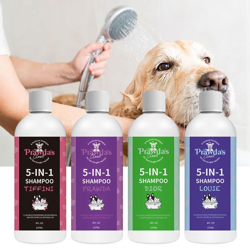 Dry Pet Shampoo Manufacturer - OEM/ODM Private Label Natural Ingredient No Rinse Foam