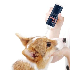 Pet Shampoo Manufacturer - OEM/ODM Private Label Wholesale Natural Organic Oatmeal