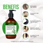 Shampoo Conditioner Supplier - Organics Rosemary Mint Strengthening