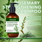 Shampoo Conditioner Supplier - Organics Rosemary Mint Strengthening