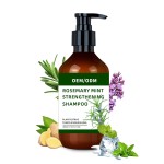 Shampoo Conditioner Supplier - Organics Rosemary Mint Strengthening
