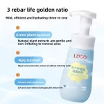Face Cleanser Manufacturer - Customized Youth Oil Control Acne Removal