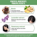 Shampoo Conditioner Supplier - Organics Rosemary Mint Strengthening