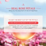 Essential Oil Supplier - Organic Lavender Rosemary Multi-Purpose Care