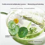 Face Mask Manufacturer - Single Pack Niacinamide Centella Sheet Mask