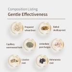 Umbilical Cord Patch Supplier - Aseptic Protection 5-Piece Newborn Care