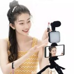 Smartphone Video Light Kit Manufacturer - OEM/ODM With Tripod Microphone Cold Holder