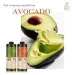 Men's Hair Care Set Manufacturer - OEM/ODM Wholesale Private Label Organic Avocado Argan