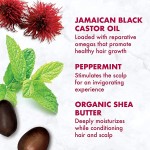 Anti-Dandruff Shampoo Set Manufacturer - OEM Private Label Hot Jamaican Black Castor Ginger