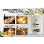 Olive Repair Hair Cream Manufacturer - OEM Private Label Custom Organic Professional