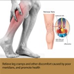 Leg Cramp Patch Manufacturer - Private Label South Moon 12pcs Exercise Sleep Thigh Walk