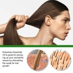 Rosemary Essential Oil Manufacturer - Custom Pure Vegan Organic Stimulates Hair Growth