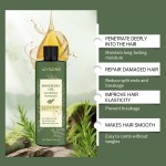 Rosemary Shampoo Conditioner Manufacturer - OEM Private Label 3 in 1 Anti Hair Loss