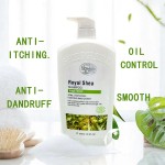 Shea Butter Shampoo Manufacturer - OEM Private Label Custom Deep Moisturizing Organic