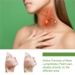 Neck Lymph Detox Patches Manufacturer - Private Label 12pcs Ginger Oil Red Clover Wormwood