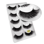 False Eyelashes Manufacturer - OEM/ODM Wholesale 5 Pairs Natural Black 1-1.5cm G800