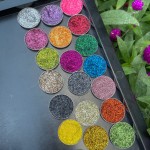 Single Eyeshadow Pans Manufacturer - OEM Your Own Brand 26mm Pressed Vegan Magnetic