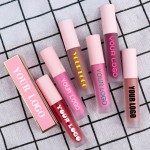 Lip Gloss Manufacturer - OEM Private Label Vegan Moisturizing Mineral Glossy Waterproof