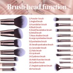 Makeup Brush Set Manufacturer - OEM Custom Logo 50 MOQ 18 Pcs with Sponge Holder