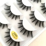 False Eyelashes Manufacturer - OEM/ODM Wholesale Free Sample 5 Pairs 3d Full Strip Lashes