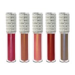 Lip Gloss Manufacturer - OEM Makeup Vendors Private Label Clear Matte Shimmer Vegan