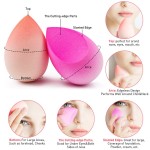 Makeup Sponge Manufacturer - OEM Latex Free Beauty Blender Custom Logo Private Label