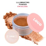 Loose Highlighter Powder Manufacturer - OEM Private Label Custom Talc Free Glitter 6 Colors