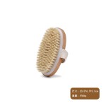 Body Brush Manufacturer - Natural Bristle Back Exfoliation Massager