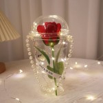 Castor Oil Supplier - Eyelashes Eyebrows Fast Growth