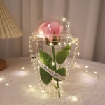 Castor Oil Supplier - Eyelashes Eyebrows Fast Growth