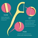 Dental Floss Factory - Ultra-fine Fruit Mint Floss Stick