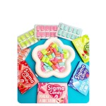 Chewing Gum Supplier - Fruit Fresh Breath Wholesale