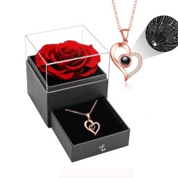 Wall Hook Manufacturer - Single-Tier PVC Picture Frame Nail-Free