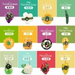 Essential Oil Soap Factory - Handmade Fruit Flower Multi-Flavor