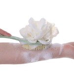 Shower Brush Factory - Soft Exfoliating Long Handle Skin Massager
