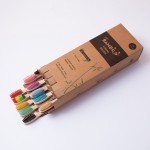 Bamboo Toothbrush Set Supplier - Cross Border Single Tablet Set