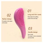Hairbrush Manufacturer - OEM Custom Logo Gentle Shower Salon