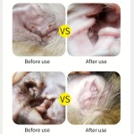 Pet Ear Cleaner Manufacturer - OEM Pet Care Dog Cat Stops Eczema Fungal Infections Insect Bites