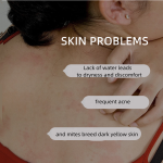 Face Body Wash Manufacturer - OEM Customized Private Label 24 Hour Long Lasting Fragrance Exfoliating