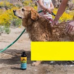 Pet Shampoo Manufacturer - OEM Own Brand Eco-Friendly Natural Herbal Tick Flea Deep Cleaning