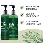 Tea Tree Oil Shampoo Set Manufacturer - OEM Refreshing Anti-Hair Loss Oil Control Moisturizing