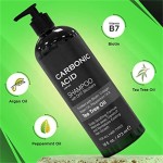 Carbonic Acid Shampoo Manufacturer - OEM Factory Custom for Men Anti Dandruff Tea Tree Oil